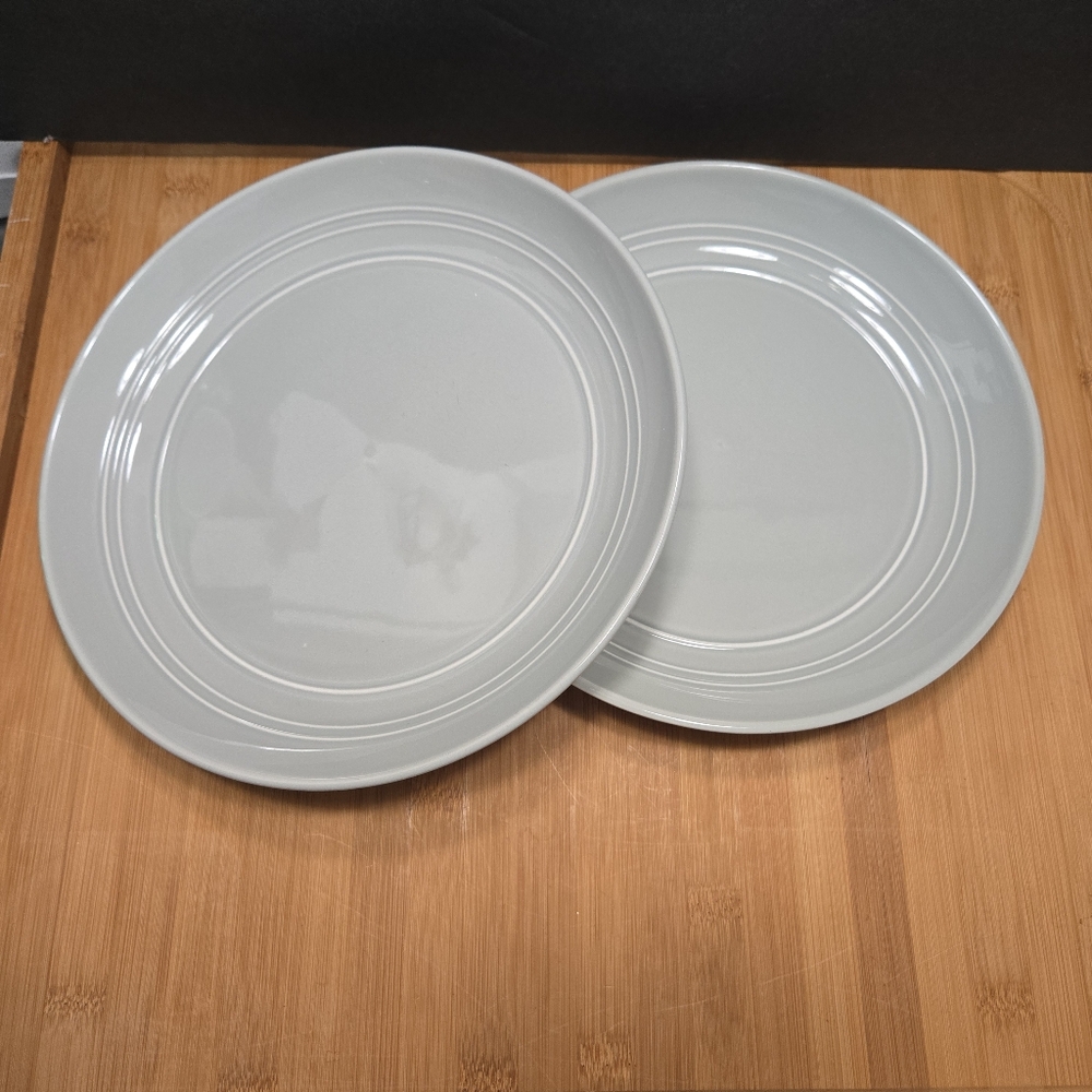 Set of 2 Westfield Deep Dish Dinner Stoneware Plates, plowl or blate, Gray 10"